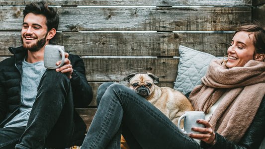 How to brew the best pot of coffee